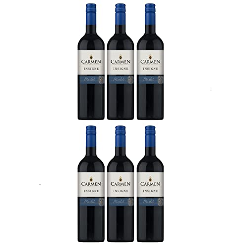 Carmen Merlot Rotwein Wein trocken Chile I FeinWert Paket (6 x 0,75l) von FeinWert