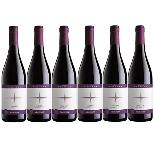 Castel Firmian Lagrein Trentino DOC Rotwein Wein trocken Italien I FeinWert Paket (6 Flaschen) von FeinWert
