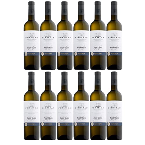 Castel Firmian Pinot Grigio Trentino DOC Weißwein Wein Grauburgunder trocken Italien I FeinWert Paket (12 Flaschen) von FeinWert