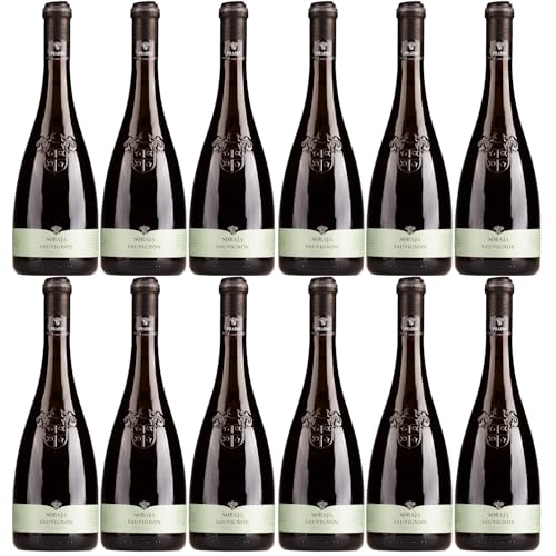 Cielo e Terra Pradio Friuli Sauvignon Blanc Weisswein Weiss Trocken Italien inkl. FeinWert E-Book (12 x 0,75l) von FeinWert
