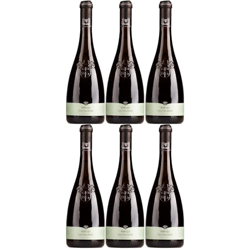 Cielo e Terra Pradio Friuli Sauvignon Blanc Weisswein Weiss Trocken Italien inkl. FeinWert E-Book (6 x 0,75l) von FeinWert