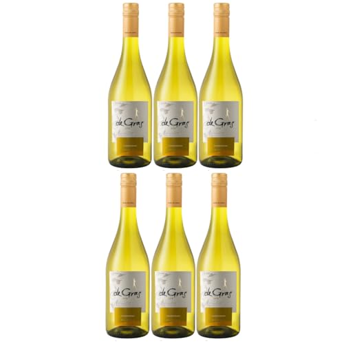 De Gras Chardonnay Weißwein Trocken Chile inkl. FeinWert E-Book (6 x 0.75l) von FeinWert