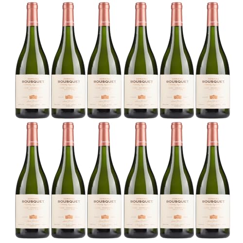 Domaine Bousquet Chardonnay Grand Reserve, Trocken, Weißwein, Bio, Argentinien inkl. FeinWert E-Book (12 x 0,75 l) von FeinWert