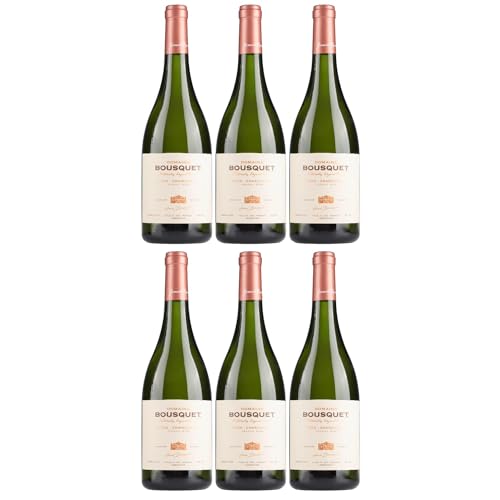 Domaine Bousquet Chardonnay Grand Reserve, Trocken, Weißwein, Bio, Argentinien inkl. FeinWert E-Book (6 x 0,75 l) von FeinWert