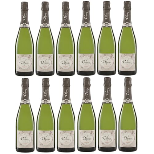 Domaine Delmas Crémant de Limoux Brut AOC Bio Schaumwein Frankreich Inkl FeinWert E-Book (12 x 0,75l) von FeinWert