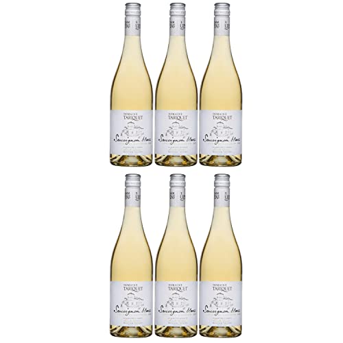 Domaine Tariquet Sauvignon Blanc Côtes de Gascogne IGP Weißwein Wein trocken Frankreich I FeinWert Paket (6 x 0,75l) von FeinWert