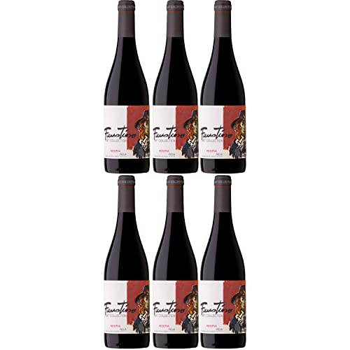 Faustino Art Collection Reserva Rotwein Wein trocken Spanien I Visando Paket (6 Flaschen) von FeinWert
