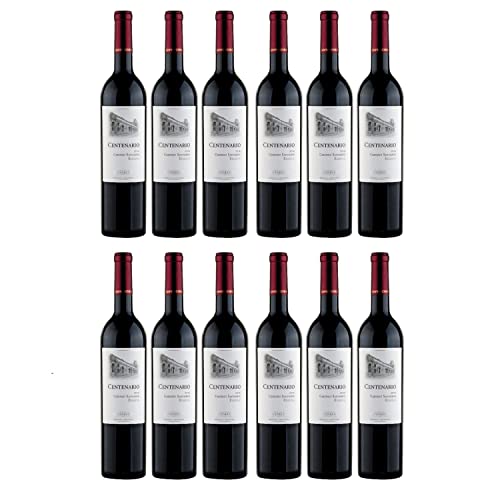 Goyenechea Centenario Cabernet Sauvignon Rotwein Wein trocken Argentinien I FeinWert Paket (12 x 0,75l) von FeinWert