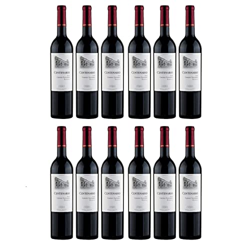 Goyenechea Centenario Cabernet Sauvignon Rotwein Wein trocken Argentinien I FeinWert Paket (12 x 0,75l) von FeinWert