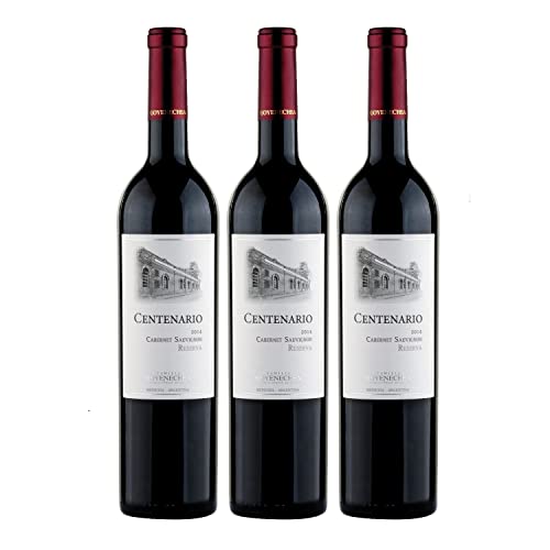 Goyenechea Centenario Cabernet Sauvignon Rotwein Wein trocken Argentinien I FeinWert Paket (3 x 0,75l) von FeinWert
