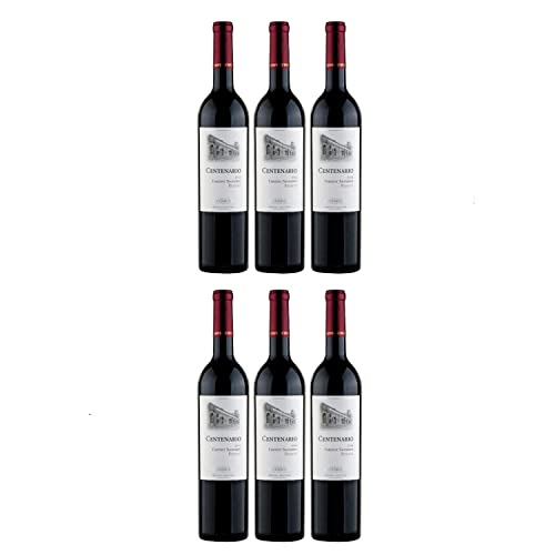 Goyenechea Centenario Cabernet Sauvignon Rotwein Wein trocken Argentinien I FeinWert Paket (6 x 0,75l) von FeinWert