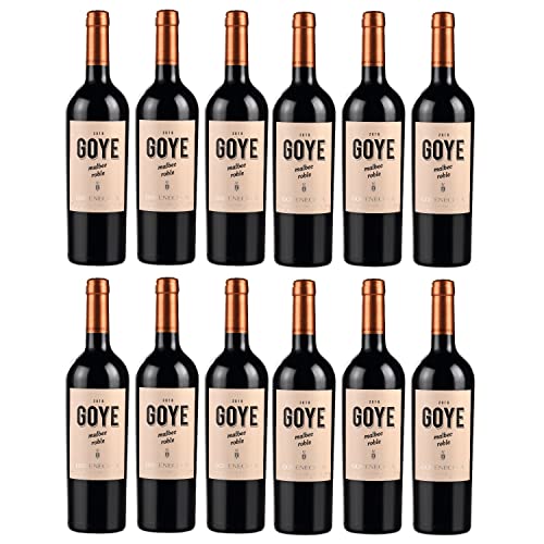 Goyenechea Malbec GOYE Rotwein Wein trocken Argentinien I FeinWert Paket (12 x 0,75l) von FeinWert