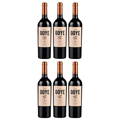 Goyenechea Malbec GOYE Rotwein Wein trocken Argentinien I FeinWert Paket (6 x 0,75l) von FeinWert