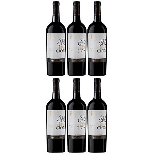 Goyenechea Quinta Generacion Malbec Rotwein Wein trocken Argentinien I FeinWert Paket (6 x 0,75l) von FeinWert