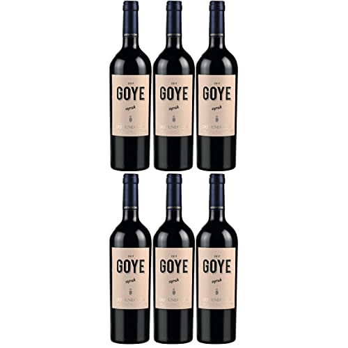 Goyenechea Syrah GOYE Rotwein Wein trocken Argentinien I FeinWert Paket (6 x 0,75l) von FeinWert
