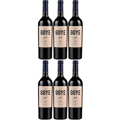 Goyenechea Syrah GOYE Rotwein Wein trocken Argentinien I FeinWert Paket (6 x 0,75l) von FeinWert
