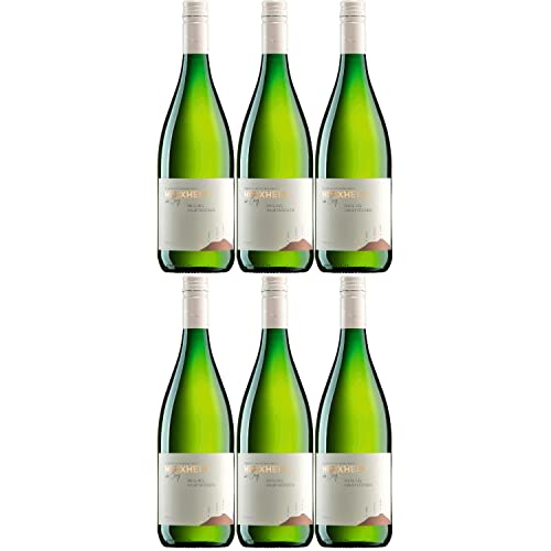 Herxheim Riesling QbA Weißwein Wein halbtrocken Deutschland Inkl. FeinWert E-Book (6 x 1,0l) von FeinWert