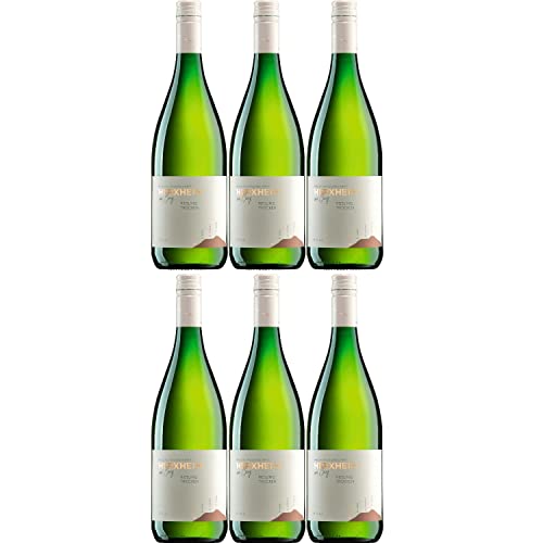 Herxheim Riesling QbA Weißwein Wein trocken Deutschland Inkl. FeinWert E-Book (6 x 1,0l) von FeinWert