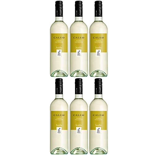 Inzolia Caleo Sizilien IGT Weißwein Wein trocken Italien I Visando Paket (3 x 0,75l) von FeinWert