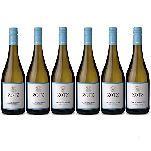 Julius Zotz Grauburgunder Alkoholfrei Weißwein Wein alkoholfrei Baden vegan Deutschland I FeinWert Paket (6 Flaschen) von FeinWert