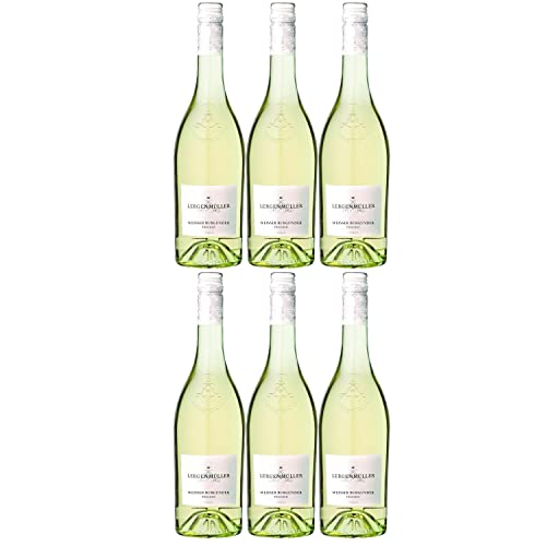 Lergenmüller Weißer Burgunder Weißwein Wein Trocken vegan Pfalz I FeinWert Paket (6 x 0,75l) von FeinWert