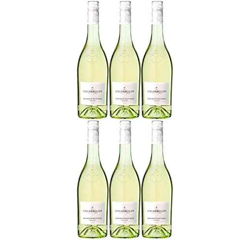 Lergenmüller Weißer Burgunder Weißwein Wein Trocken vegan Pfalz I FeinWert Paket (6 x 0,75l) von FeinWert