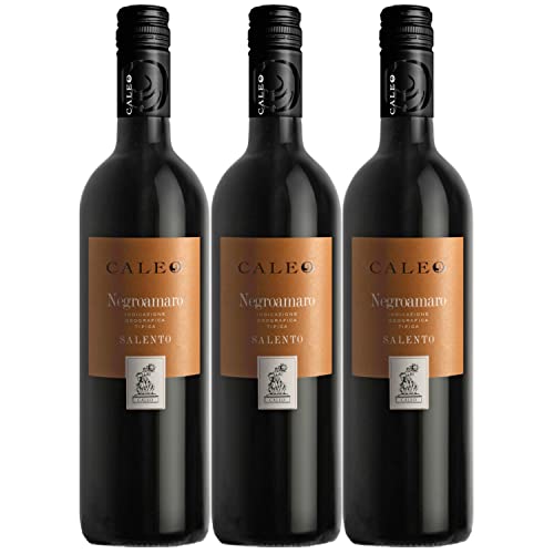 Negroamaro Caleo Salento IGT Rotwein Wein trocken Italien I Visando Paket (3 x 0,75l) von FeinWert