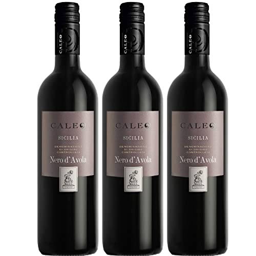 Nero d`Avola Caleo Sizilien DOC Rotwein Wein trocken Italien I Visando Paket (3 x 0,75l) von FeinWert