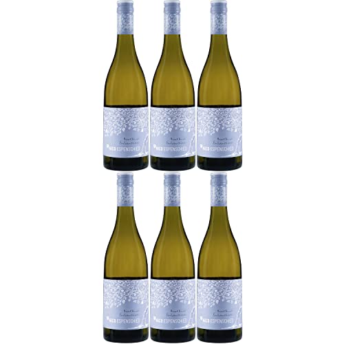 Nico Espenschied Scheurebe Herz + Hand Weißwein Wein trocken QbA I Visando Paket (6 x 0,75l) von FeinWert