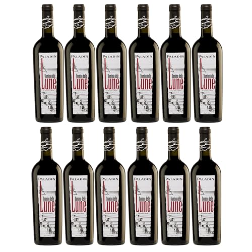 Paladin Paladin Domino delle Lune Rosso Halbtrocken Rotwein Vegan Italien inkl. FeinWert E-Book (12 x 0,75 l) von FeinWert