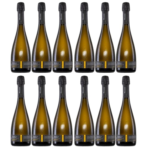 Paladin Millesimato Extra Dry Extratrocken Vegan Italien inkl. FeinWert E-Book (12 x 0,75 l) von FeinWert