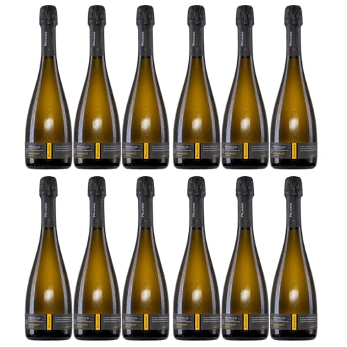 Paladin Paladin Prosecco Millesimato Extra Dry Extratrocken Prosecco Vegan Italien inkl. FeinWert E-Book (12 x 0,75 l) von FeinWert