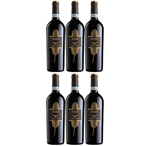 Piuma Ripasso della Valpolicella classico superiore DOC Rotwein Wein trocken Italien I Visando Paket (6 x 0,75l) von FeinWert