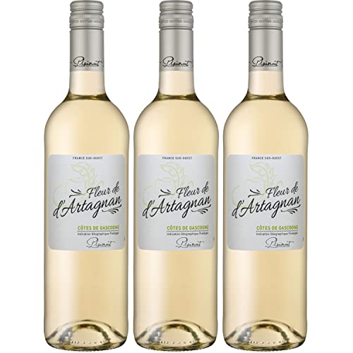 Plaimont Fleur de d'Artagnan Blanc Weißwein Wein trocken Frankreich I Visando Paket (3 Flaschen) von FeinWert