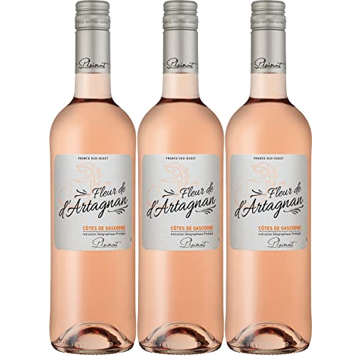 Plaimont Fleur de d'Artagnan Rosé Roséwein Wein trocken Frankreich I Visando Paket (3 Flaschen) von FeinWert