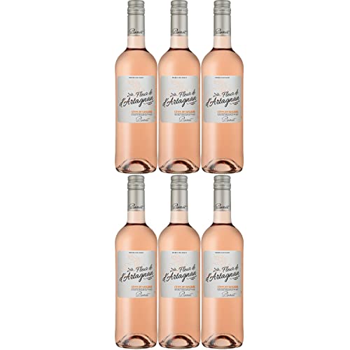 Plaimont Fleur de d'Artagnan Rosé Roséwein Wein trocken Frankreich I Visando Paket (6 Flaschen) von FeinWert