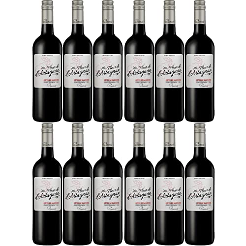 Plaimont Fleur de d'Artagnan Rouge Rotwein Wein trocken Frankreich I Visando Paket (12 Flaschen) von FeinWert