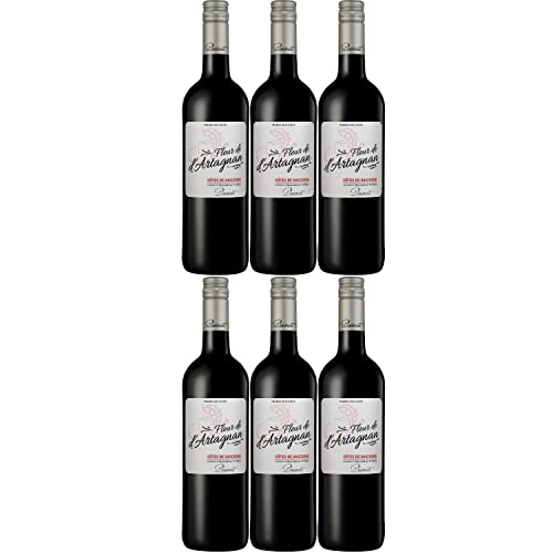 Plaimont Fleur de d'Artagnan Rouge Rotwein Wein trocken Frankreich I Visando Paket (6 Flaschen) von FeinWert