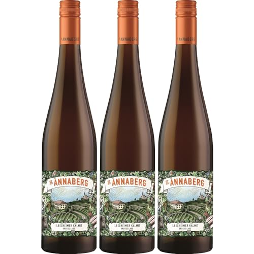 Sankt Annaberg Ilbesheimer Kalmit Grosse Lage Riesling trocken BIO Weißwein Wein Trocken Pfalz Inkl. FeinWert E-Book (3 x 0,75l) von FeinWert