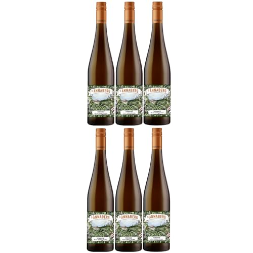 Sankt Annaberg Verborgen Müller-Thurgau Silvaner Monopollage BIO Weißwein Wein Trocken Pfalz Inkl. FeinWert E-Book (6 x 0,75l) von FeinWert