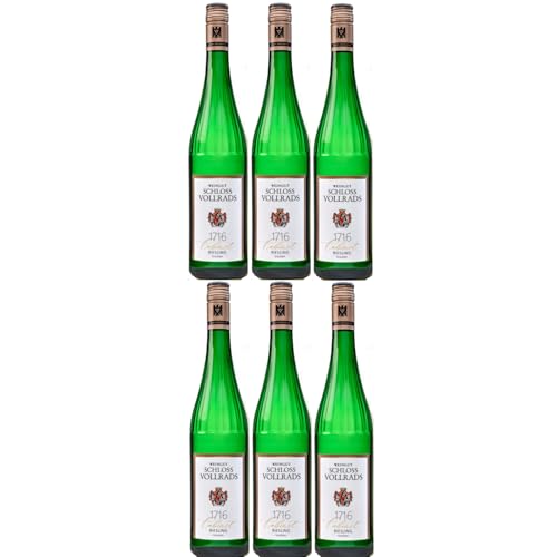 Schloss Vollrads "1716 Cabinet" trocken Riesling VDP. ORTSWEIN trocken Weißwein Deutschland inkl. FeinWert E-Book (6 x 0,75l) von FeinWert
