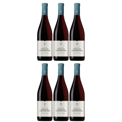 Terre de Tramontane Arrivant Rouge AOP - Bio Rotwein Wein Trocken Languedoc Frankreich inkl. FeinWert E-Book (6 x 0,75l) von FeinWert