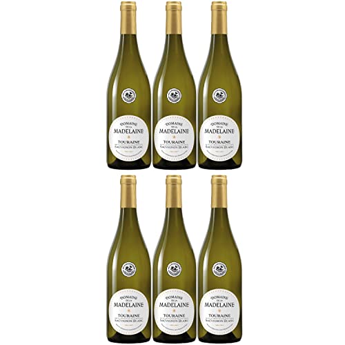 Touraine Sauvignon AOC Domaine de la Madelaine Weißwein Wein trocken Frankreich I FeinWert Paket (6 x 0,75l) von FeinWert