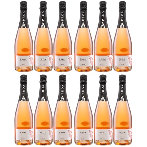 Vallformosa Cava Proa Brut Rosado Trocken Schaumwein Vegan Spanien inkl. FeinWert E-Book (12 x 0,75 l) von FeinWert