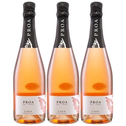 Vallformosa Cava Proa Brut Rosado Trocken Schaumwein Vegan Spanien inkl. FeinWert E-Book (3 x 0,75 l) von FeinWert