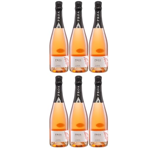 Vallformosa Cava Proa Brut Rosado Trocken Schaumwein Vegan Spanien inkl. FeinWert E-Book (6 x 0,75 l) von FeinWert