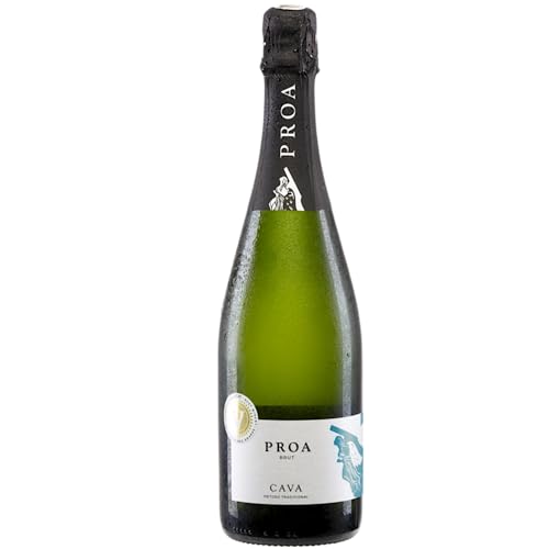 Vallformosa Cava Proa Brut Trocken Schaumwein Vegan Spanien inkl. FeinWert E-Book (1 x 0,75 l) von FeinWert