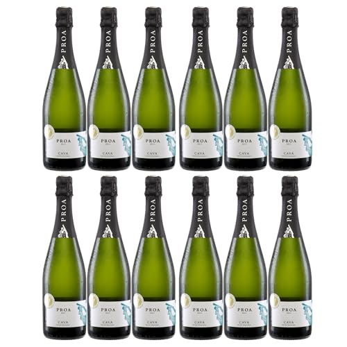 Vallformosa Cava Proa Brut Trocken Schaumwein Vegan Spanien inkl. FeinWert E-Book (12 x 0,75 l) von FeinWert