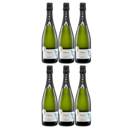 Vallformosa Cava Proa Brut Trocken Schaumwein Vegan Spanien inkl. FeinWert E-Book (6 x 0,75 l) von FeinWert