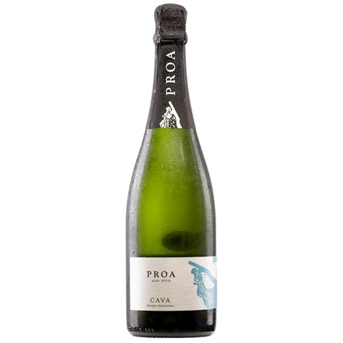 Vallformosa Cava Proa Semi Seco Halbtrocken Schaumwein Vegan Spanien inkl. FeinWert E-Book (1 x 0,75 l) von FeinWert